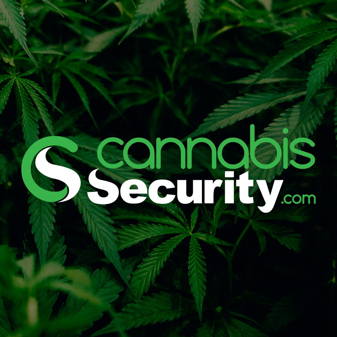 Cannabis Security