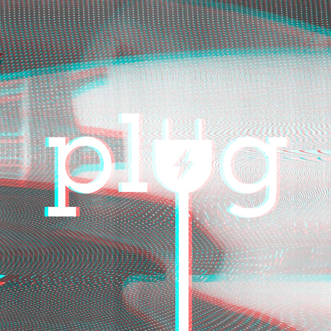 Plug